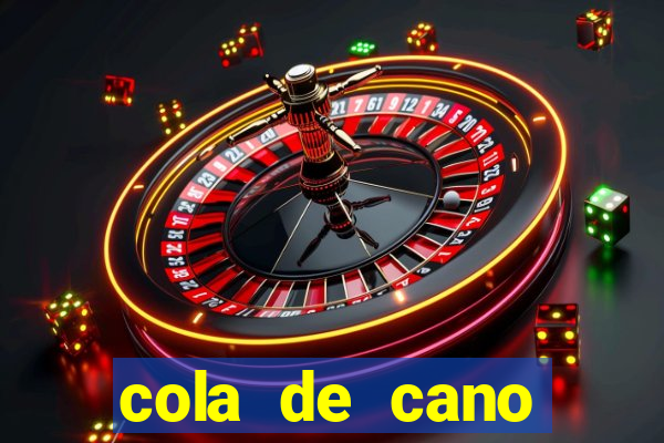 cola de cano quanto tempo para secar